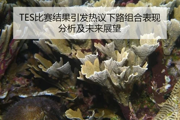 bi-sai-jie-guo-yin-fa-re-yi-xia-lu-zu-he-biao-xian-fen-xi-ji-wei-lai-zhan-wang-2-949.jpg
